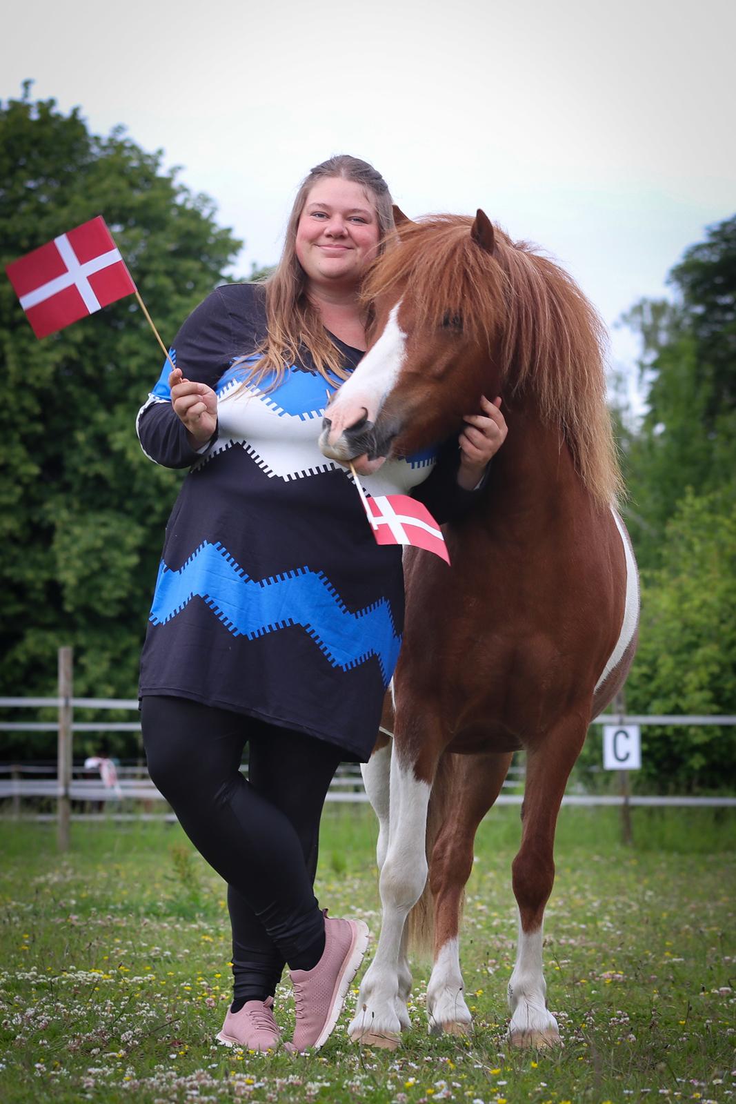 Anden særlig race Kofoeds Hidalgo O.C billede 32