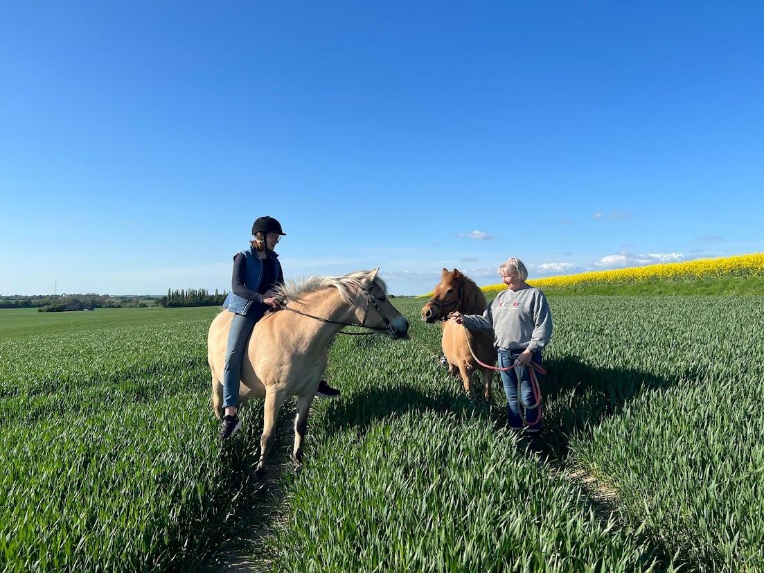 Fjordhest Lindelys Freja (Pony) - 2023 billede 14