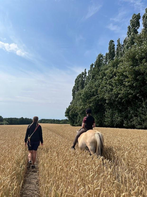 Fjordhest Lindelys Freja (Pony) - 2022 billede 17