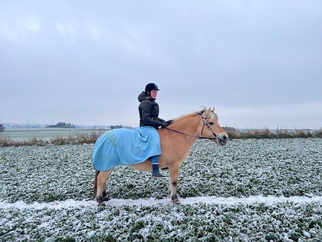 Fjordhest Lindelys Freja (Pony) billede 19