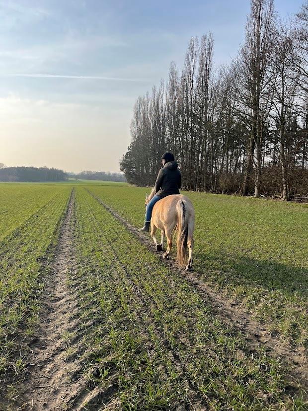 Fjordhest Lindelys Freja (Pony) - 2025 billede 22