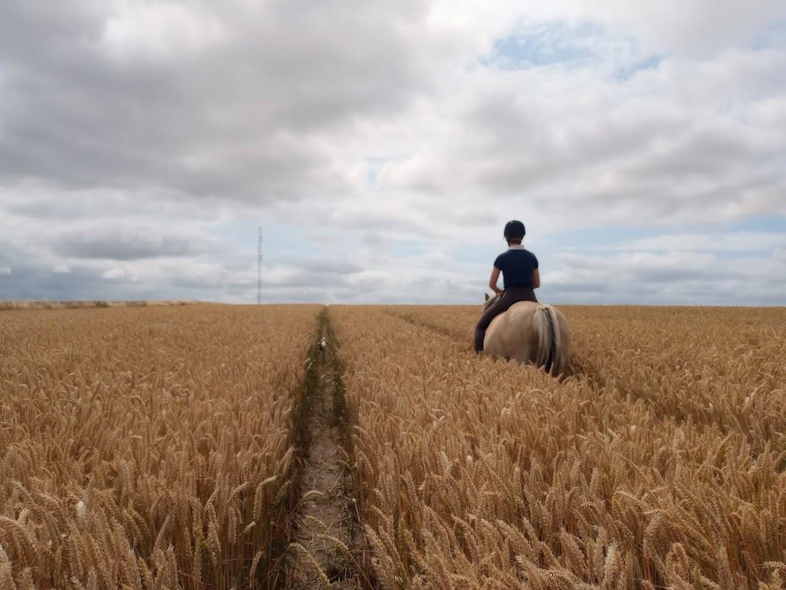 Fjordhest Lindelys Freja (Pony) - 2022 billede 27