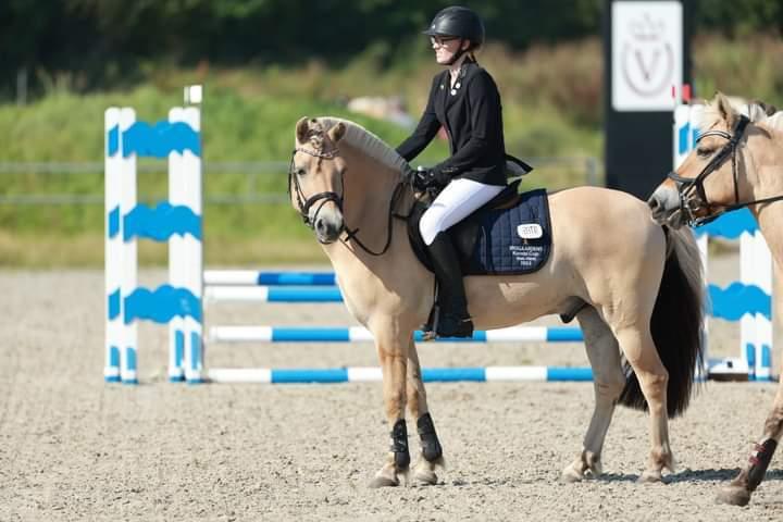 Fjordhest Lille Gilhøjs Alfred - Senior cup  billede 29