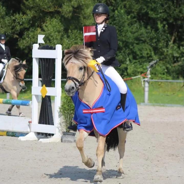 Fjordhest Lille Gilhøjs Alfred - EM Tyskland hold dressur 1. plads billede 31