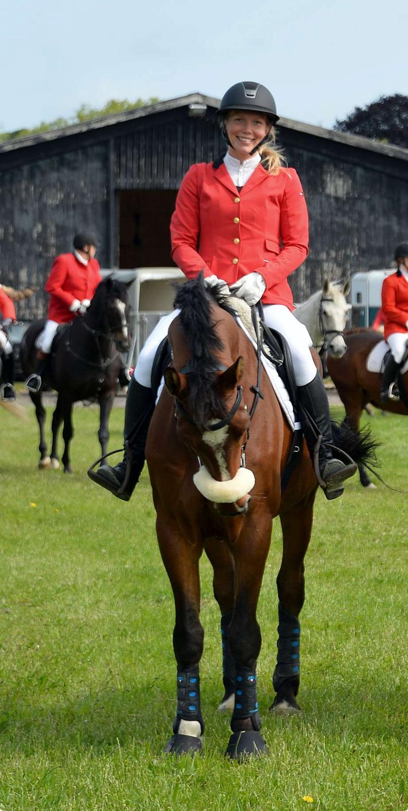 Irsk Sportshest The Red Fellow billede 42