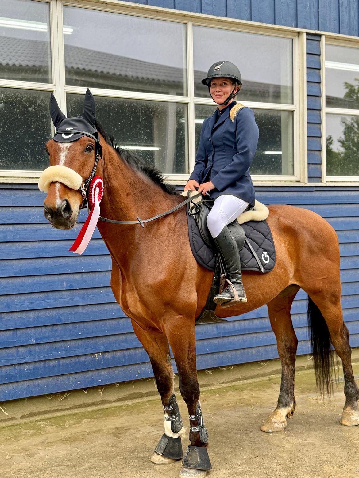 Irsk Sportshest The Red Fellow billede 44