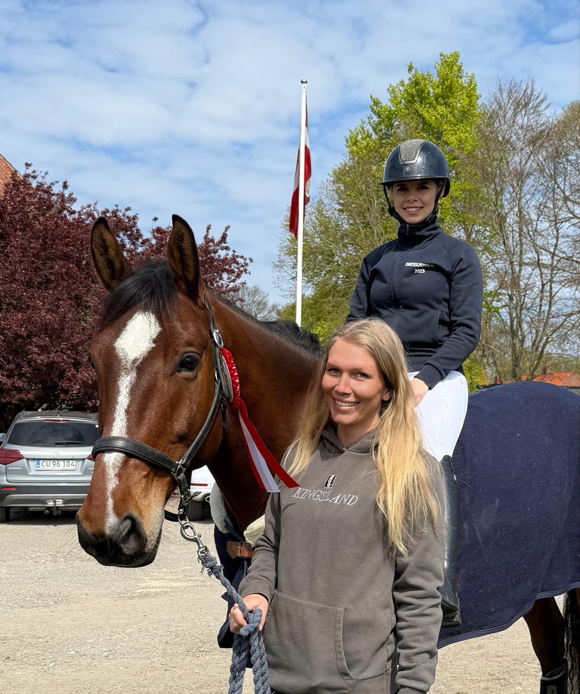 Irsk Sportshest The Red Fellow billede 48