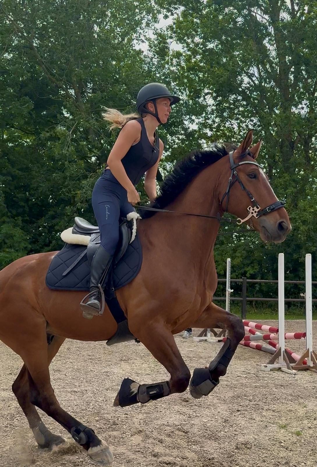 Irsk Sportshest The Red Fellow billede 38