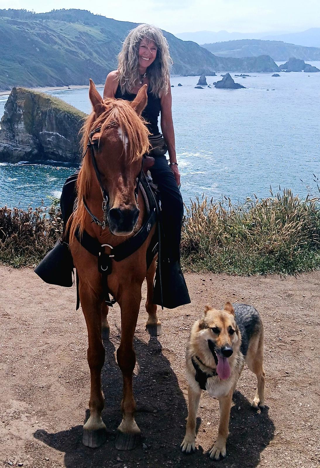 Arabisk fuldblod (OX) Spirit - the end of the road, atlanter havet,Spirit er nu gået på pension, dette billede var vores sidste ridetur ❤️🙏 billede 19