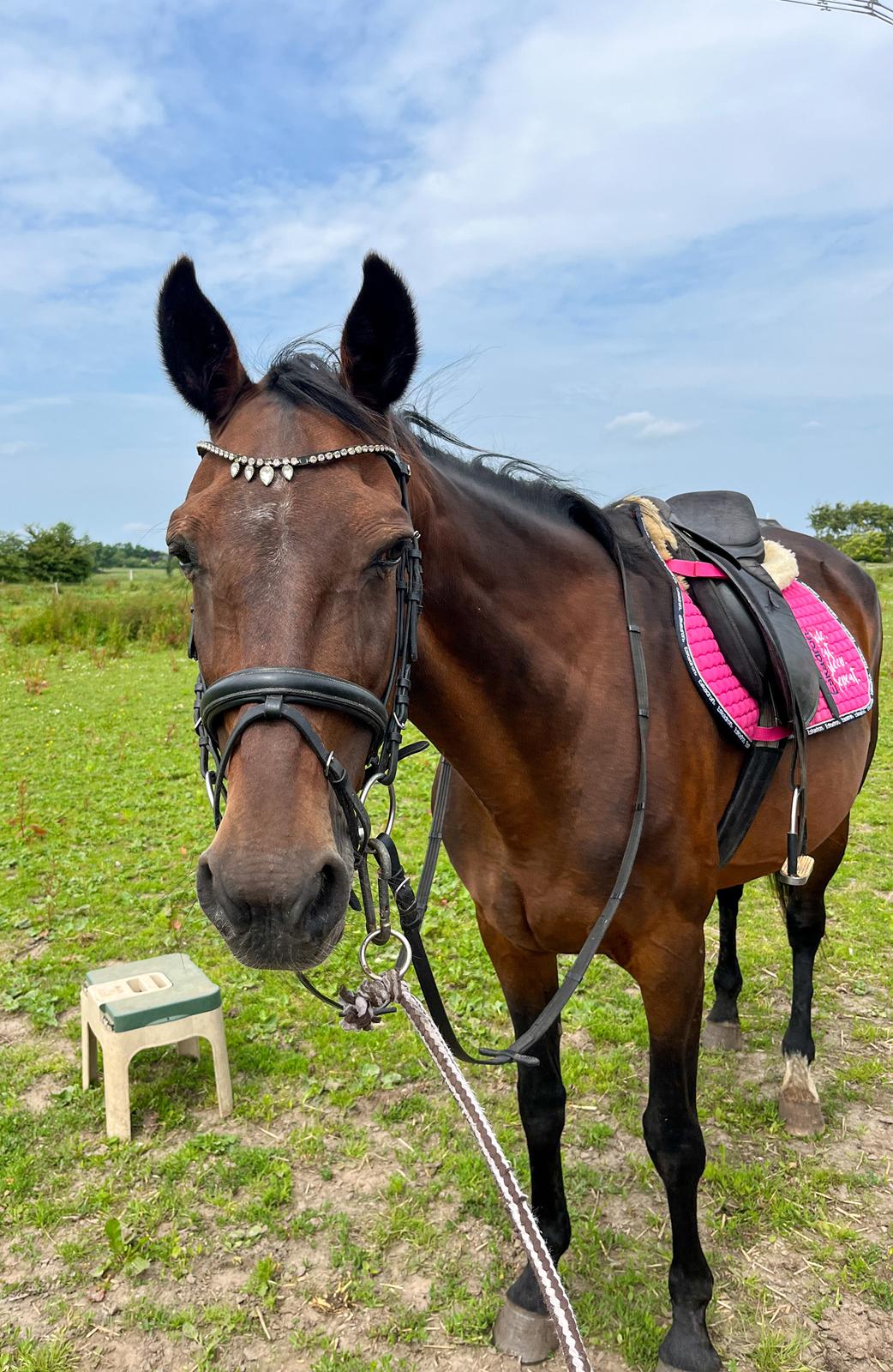 Traver Pigga billede 1