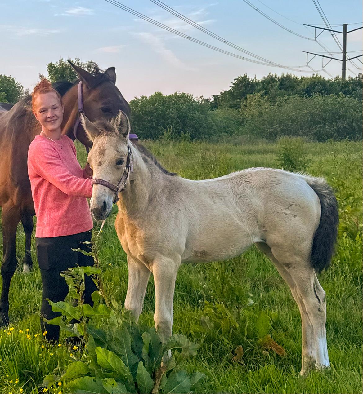 Traver Pigga billede 6