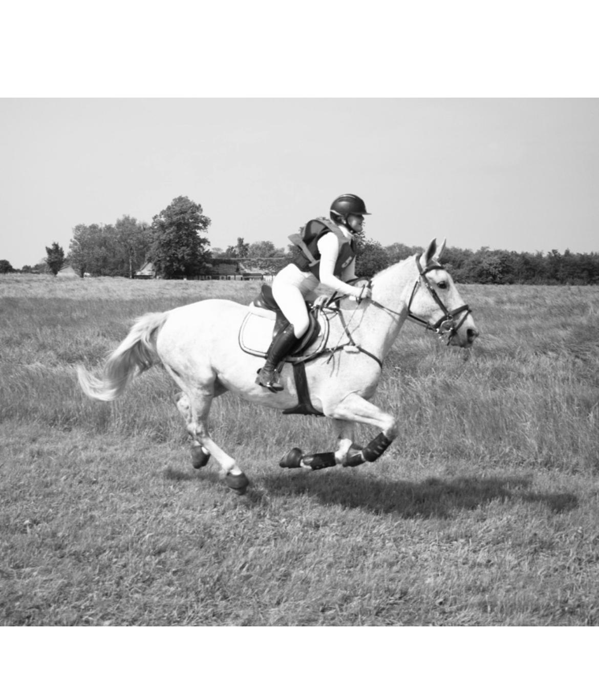 Oldenborg Brommehusets Olivia  billede 4