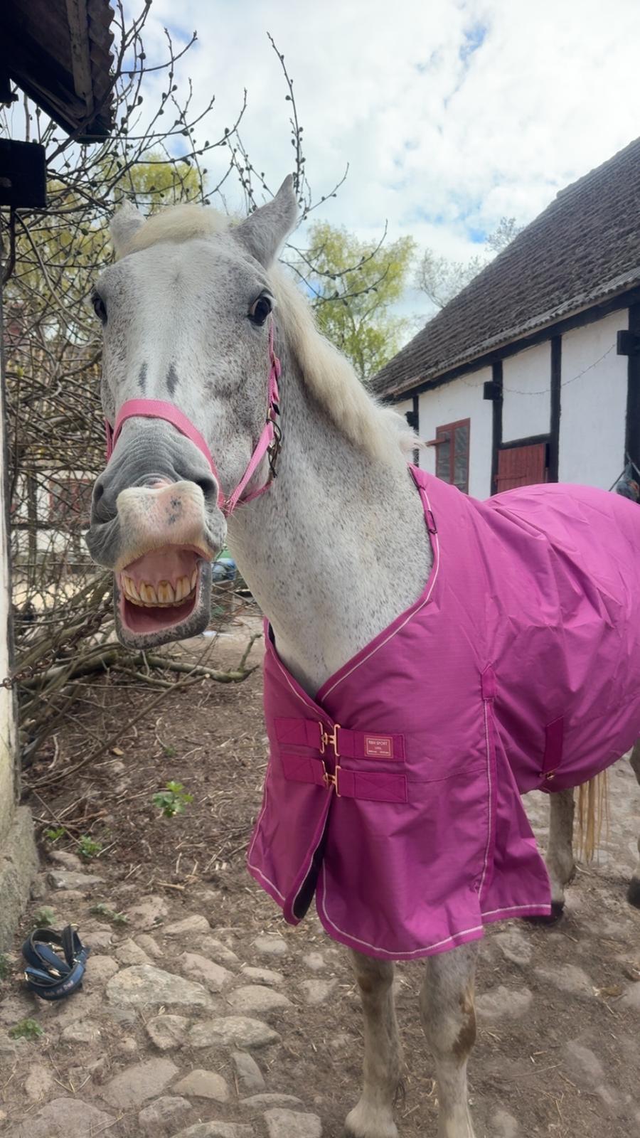 Oldenborg Brommehusets Olivia  billede 2