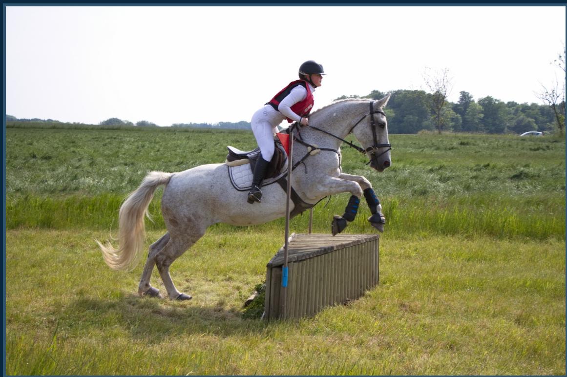 Oldenborg Brommehusets Olivia  billede 7