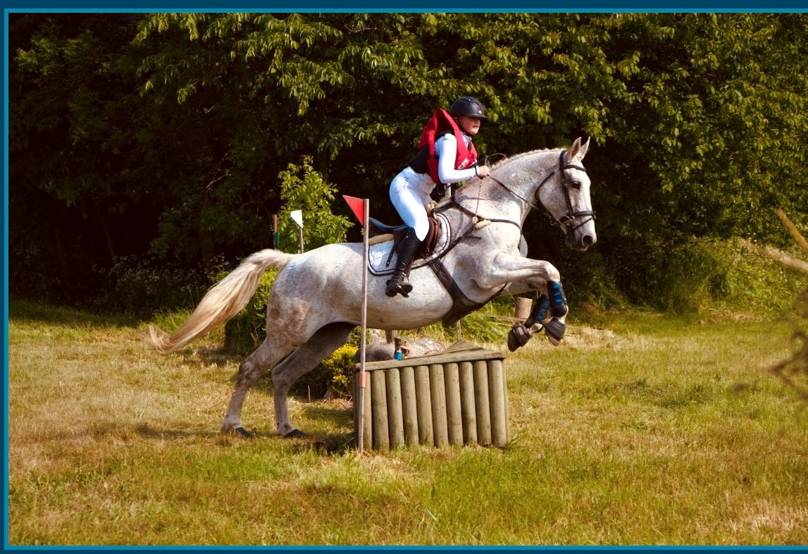 Oldenborg Brommehusets Olivia  billede 8