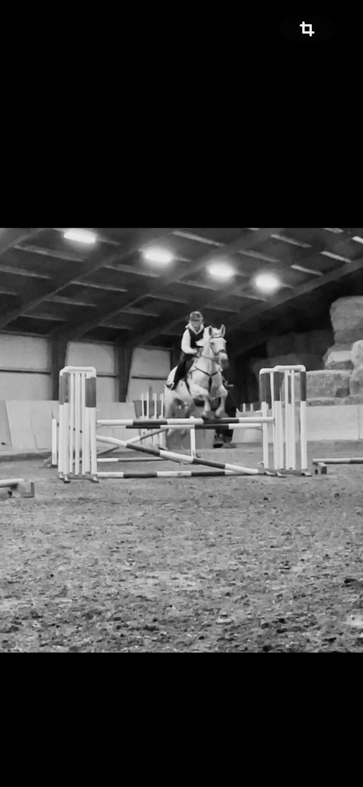 Oldenborg Brommehusets Olivia  billede 6