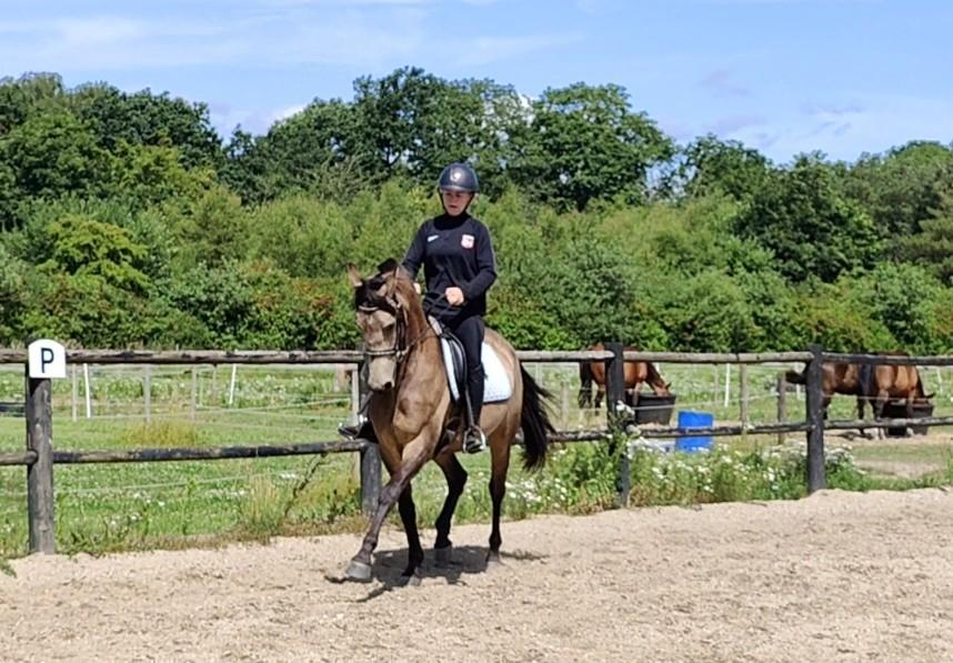 Anden særlig race Højlund's Cassandra (Cassie) billede 12