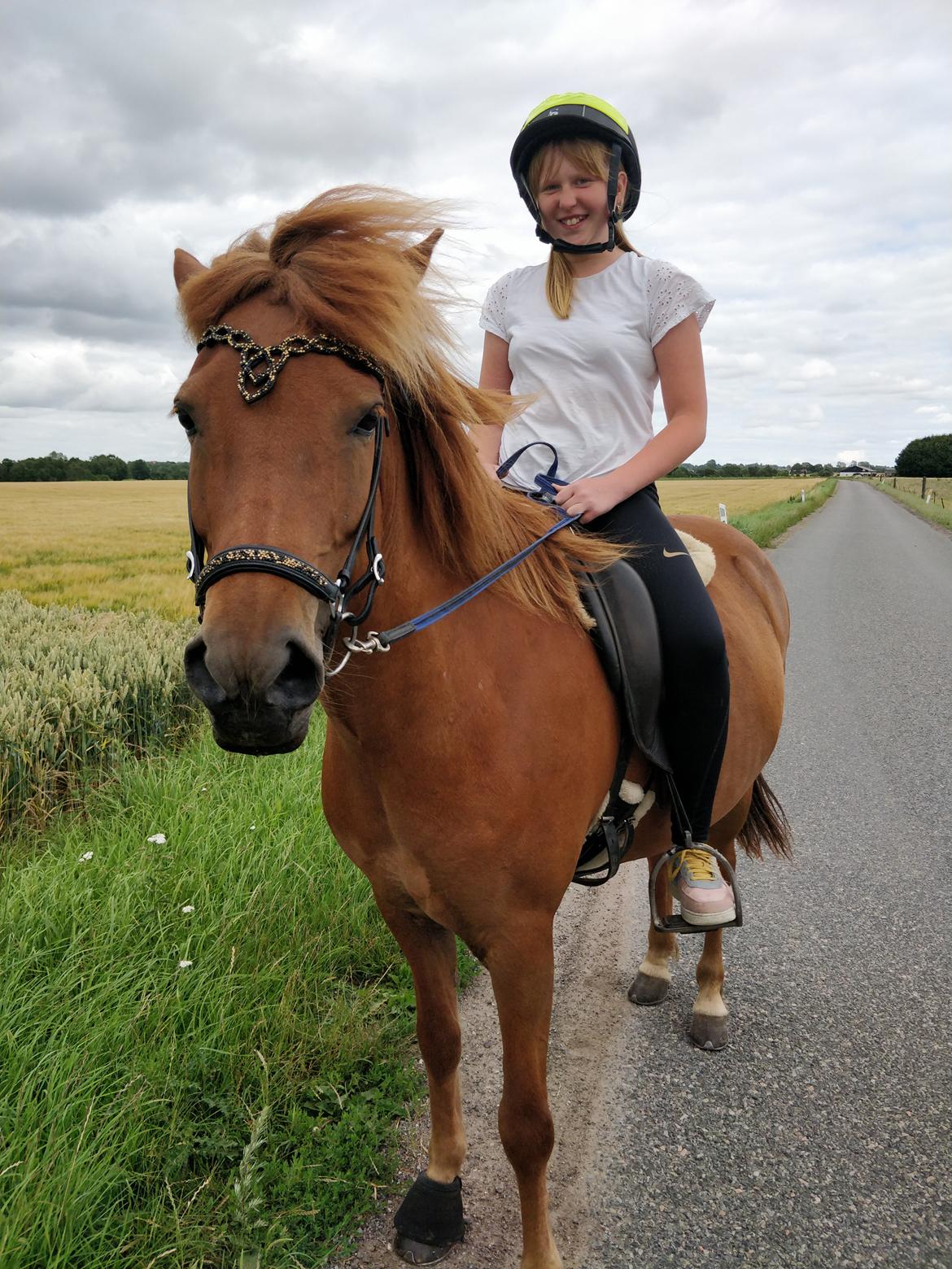 Islænder Sunna fra Ólafsvöllum billede 3