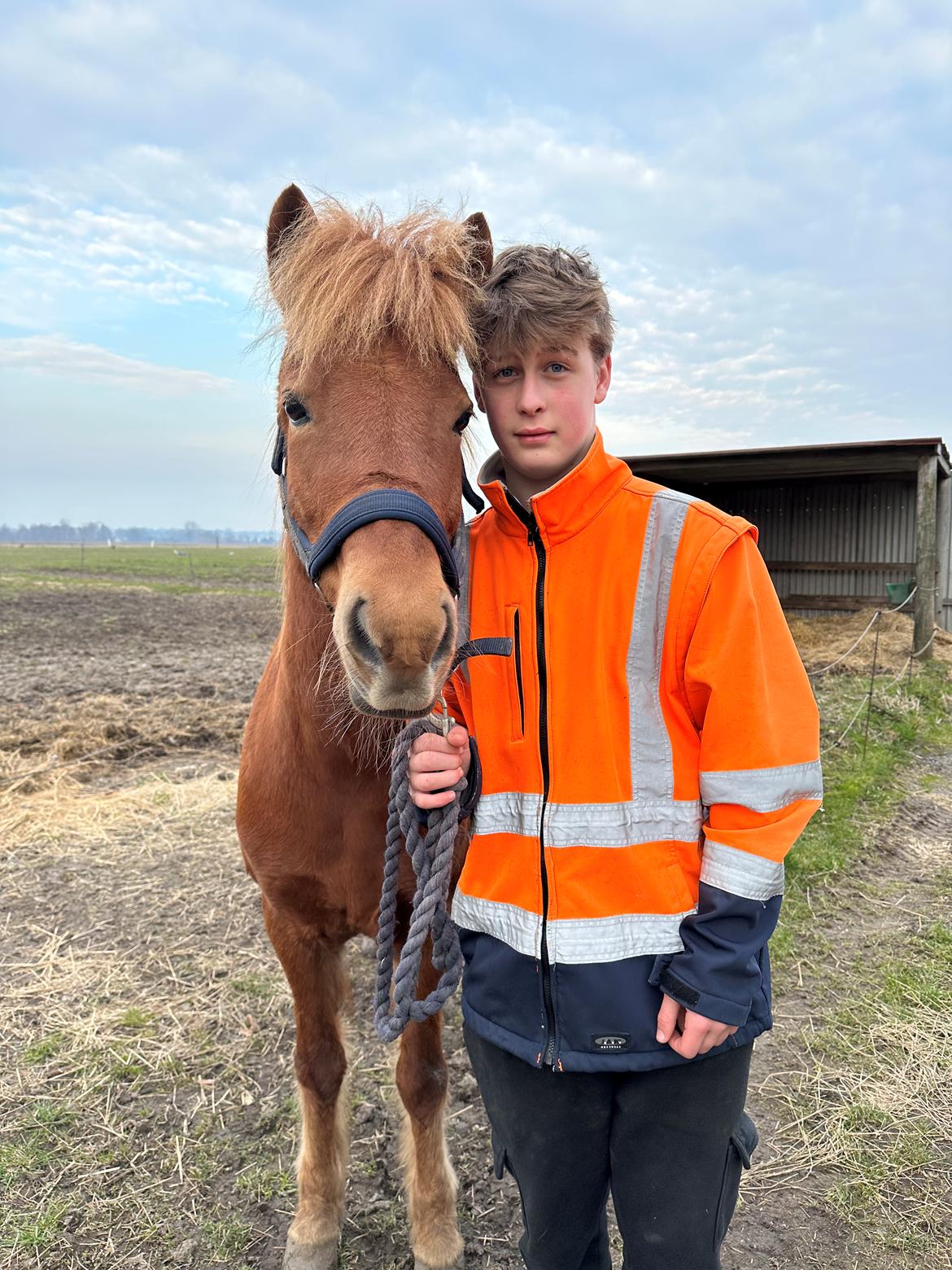 Islænder Sunna fra Ólafsvöllum billede 9