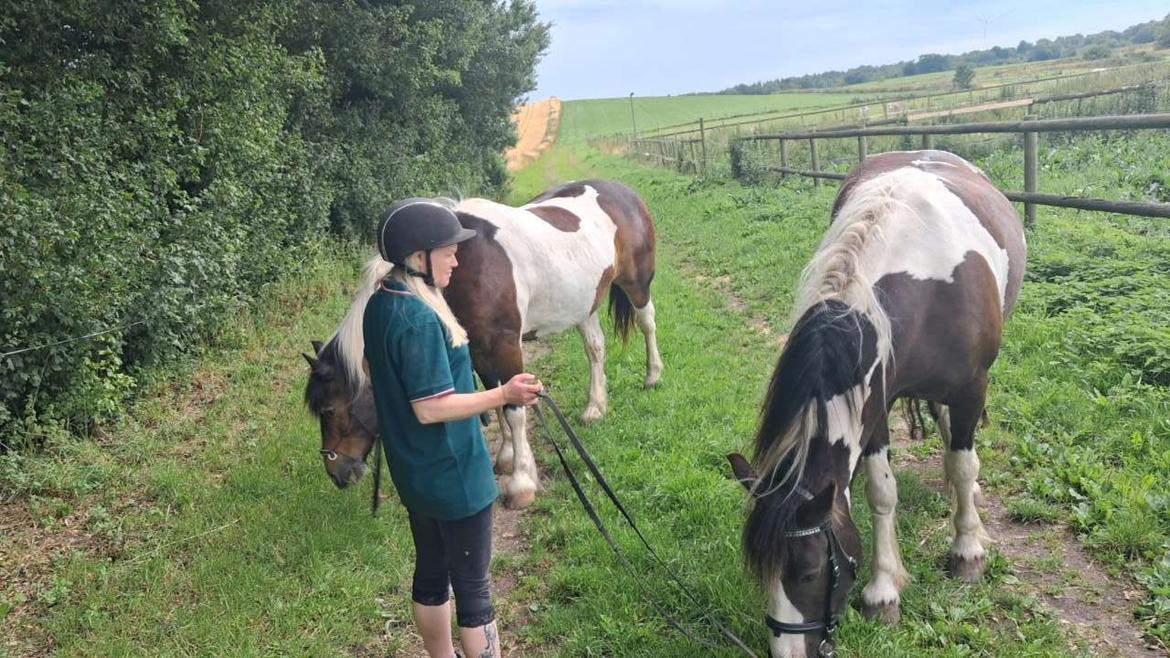 Pinto Millot billede 4