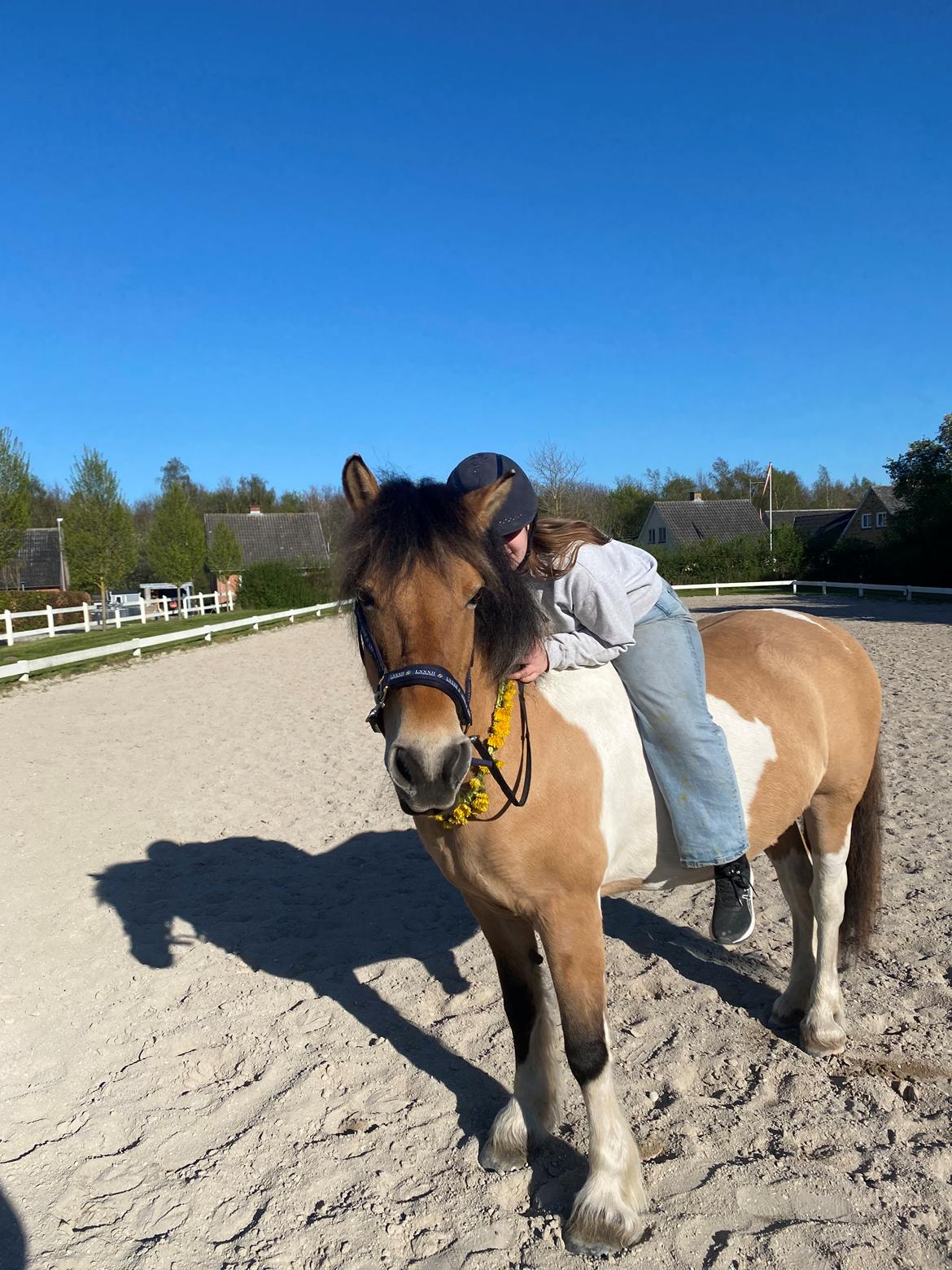 Anden særlig race Chi-Chi Lunde O’hara billede 11