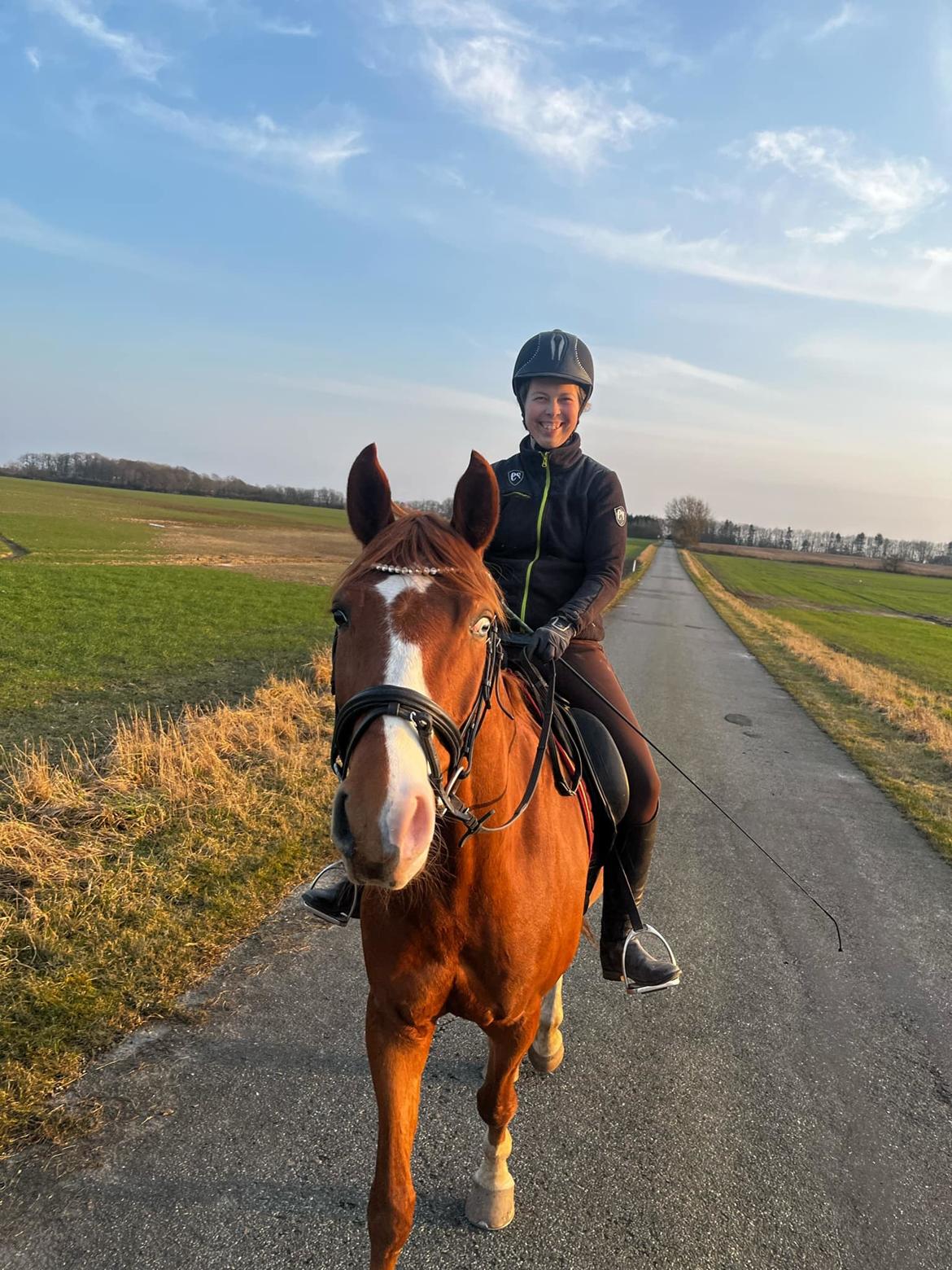 DSP Nørlunds Contino billede 3