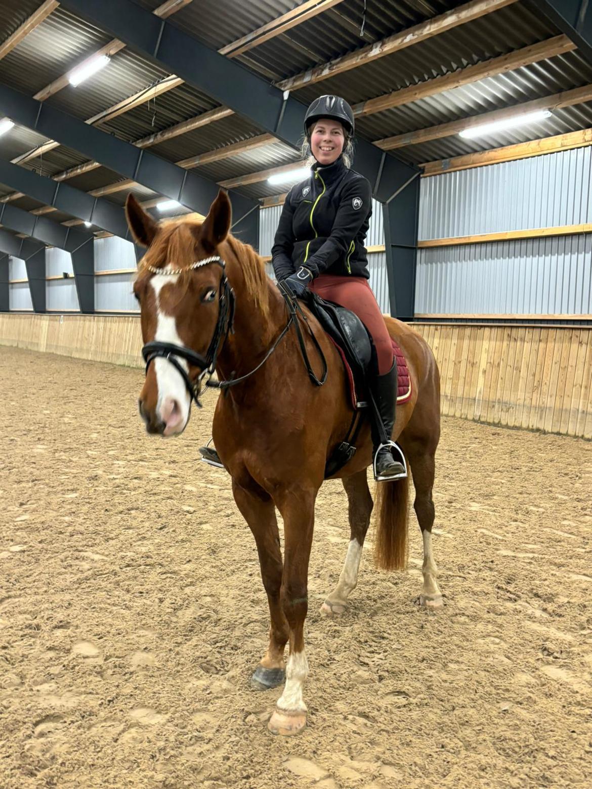 DSP Nørlunds Contino - Første ridetur efter jeg fik ham hjem. billede 7