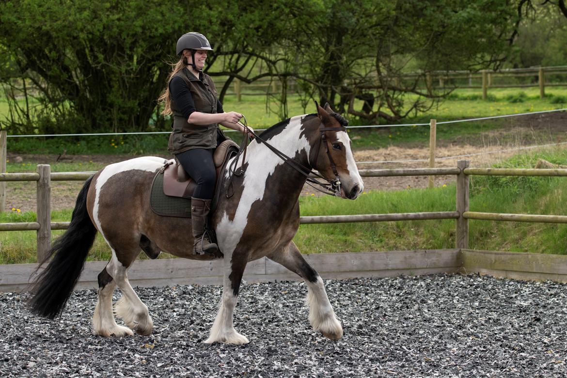 Anden særlig race Sir Louis of Gundelach billede 22
