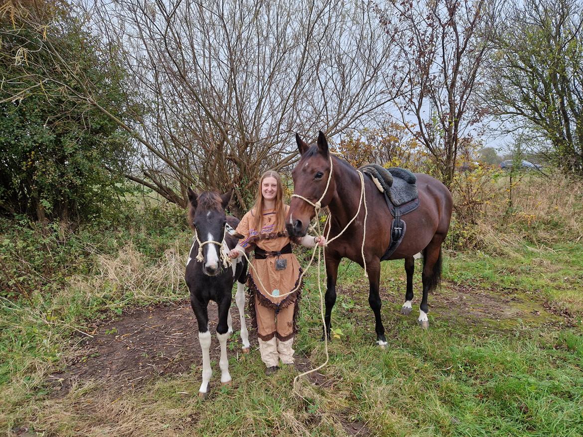 Anden særlig race - Donna billede 39