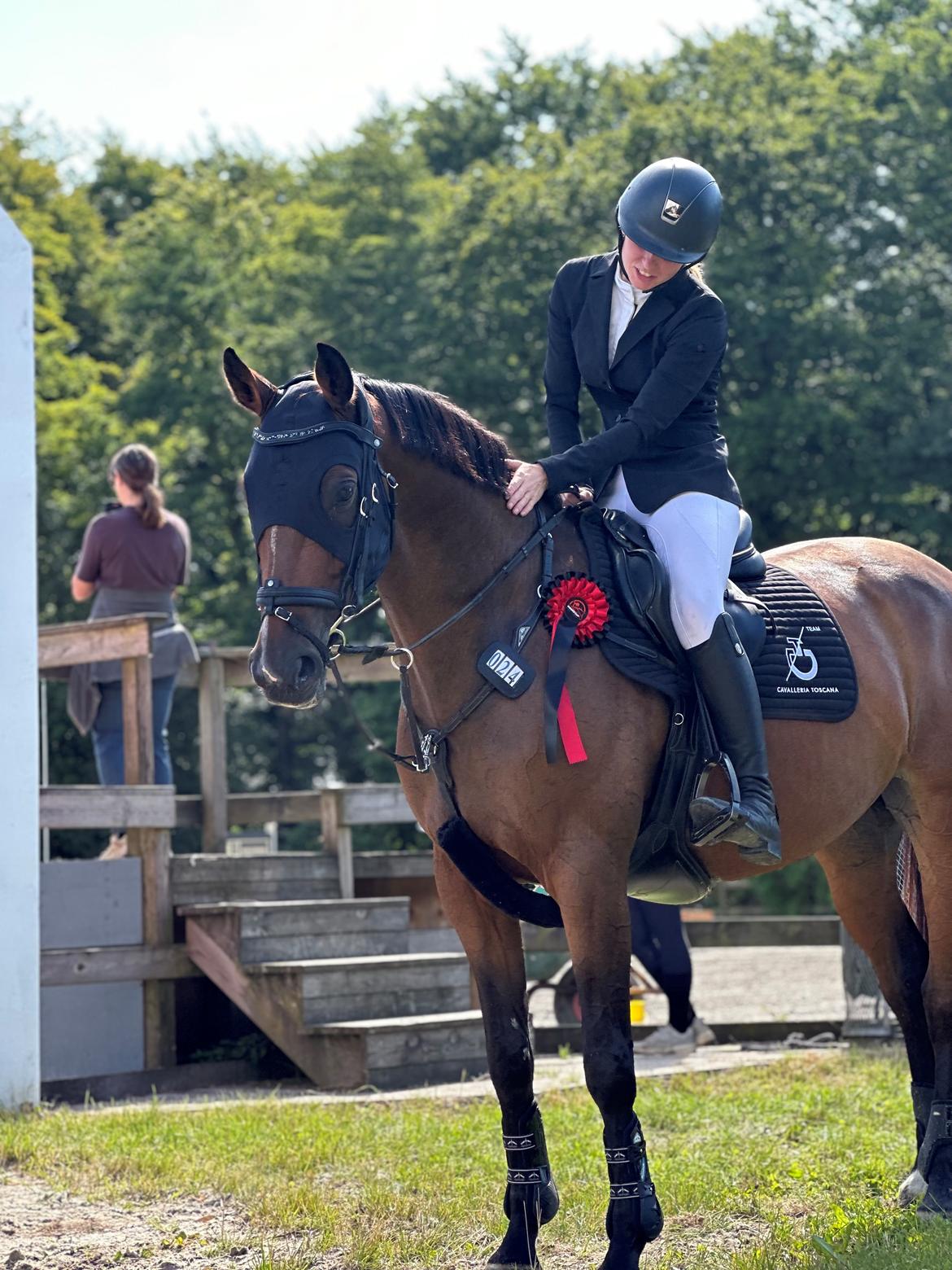 Dansk Varmblod Quiana billede 20