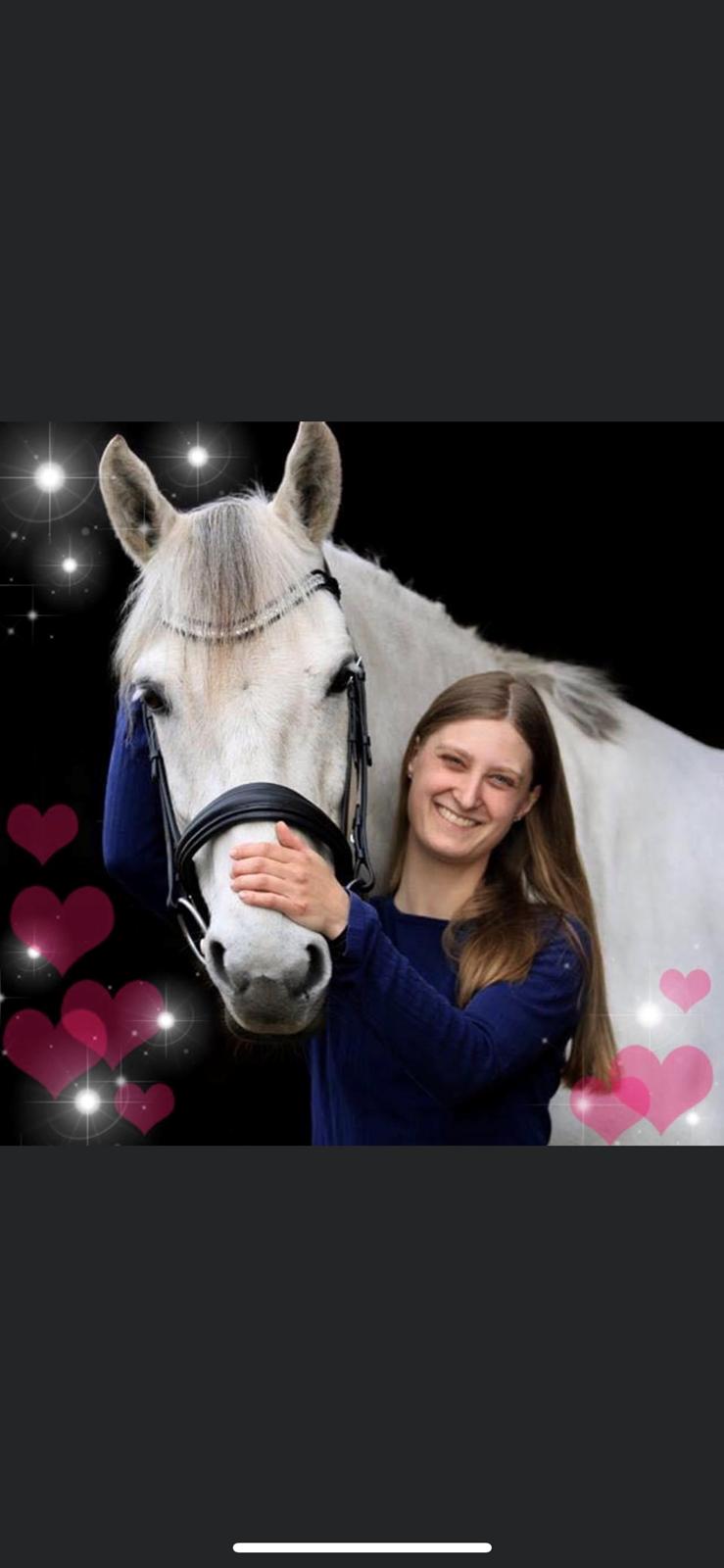 Dansk Varmblod Bl. - Hindbærgården's Milan billede 30