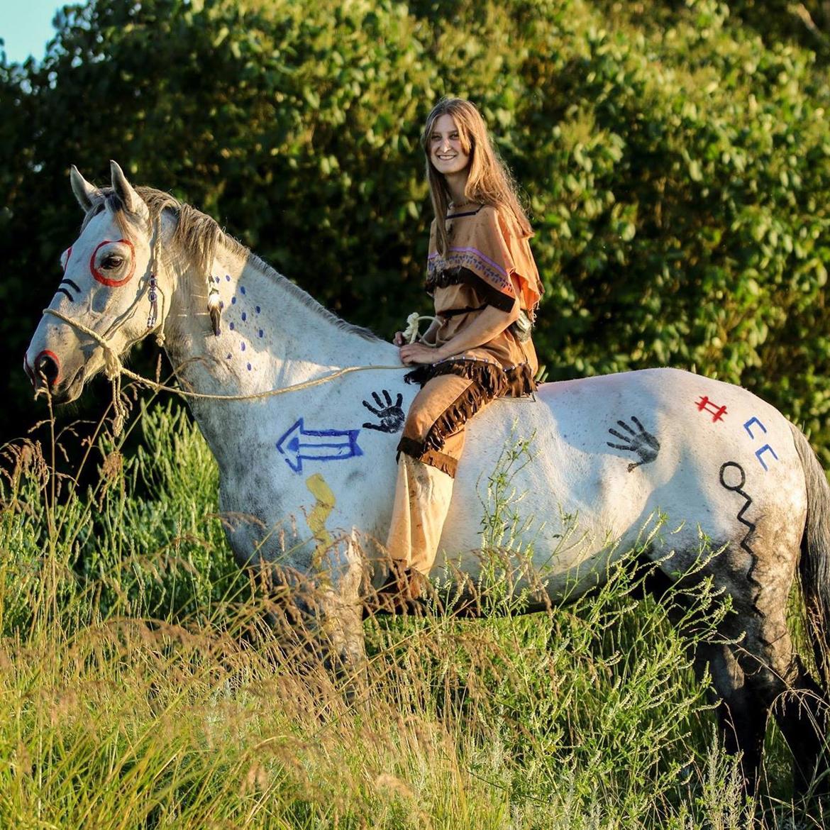 Dansk Varmblod Bl. - Hindbærgården's Milan billede 34