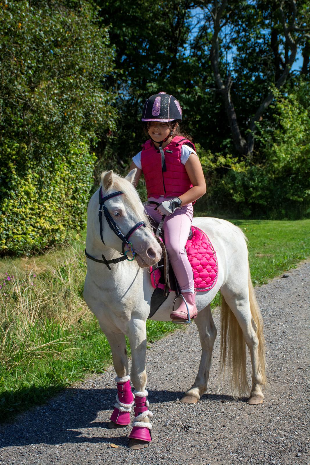 Welsh Mountain (sec A) Greenhills (dk) Special Design billede 6