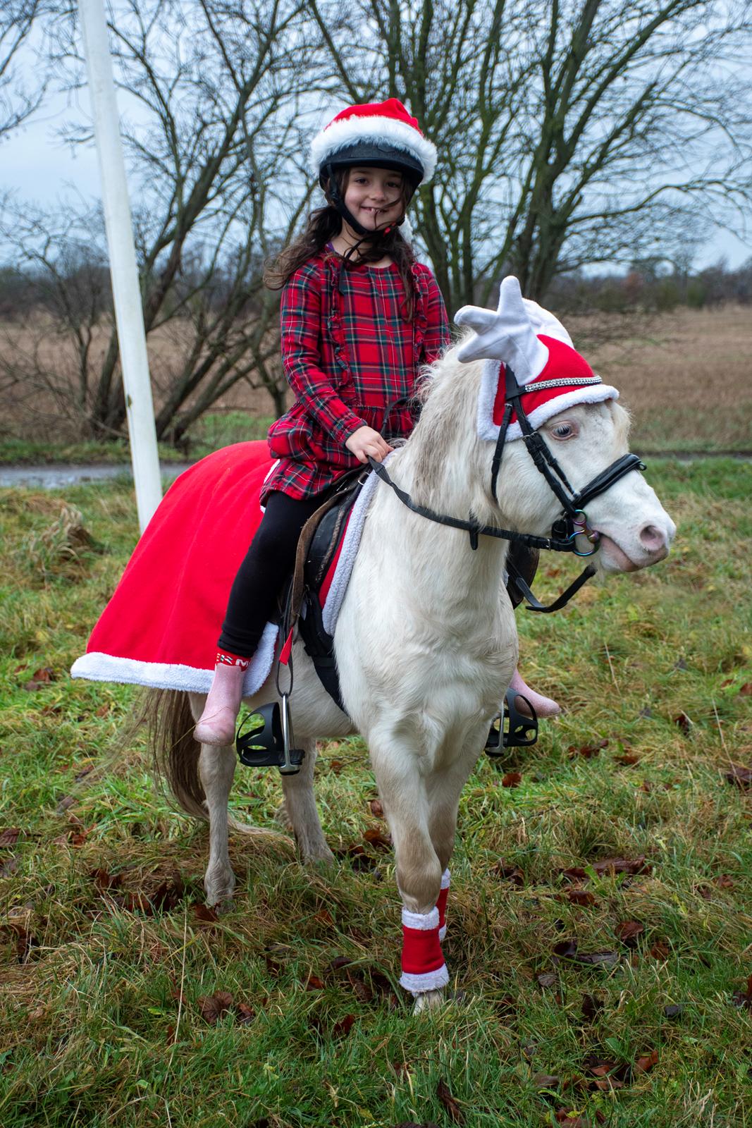 Welsh Mountain (sec A) Greenhills (dk) Special Design billede 27