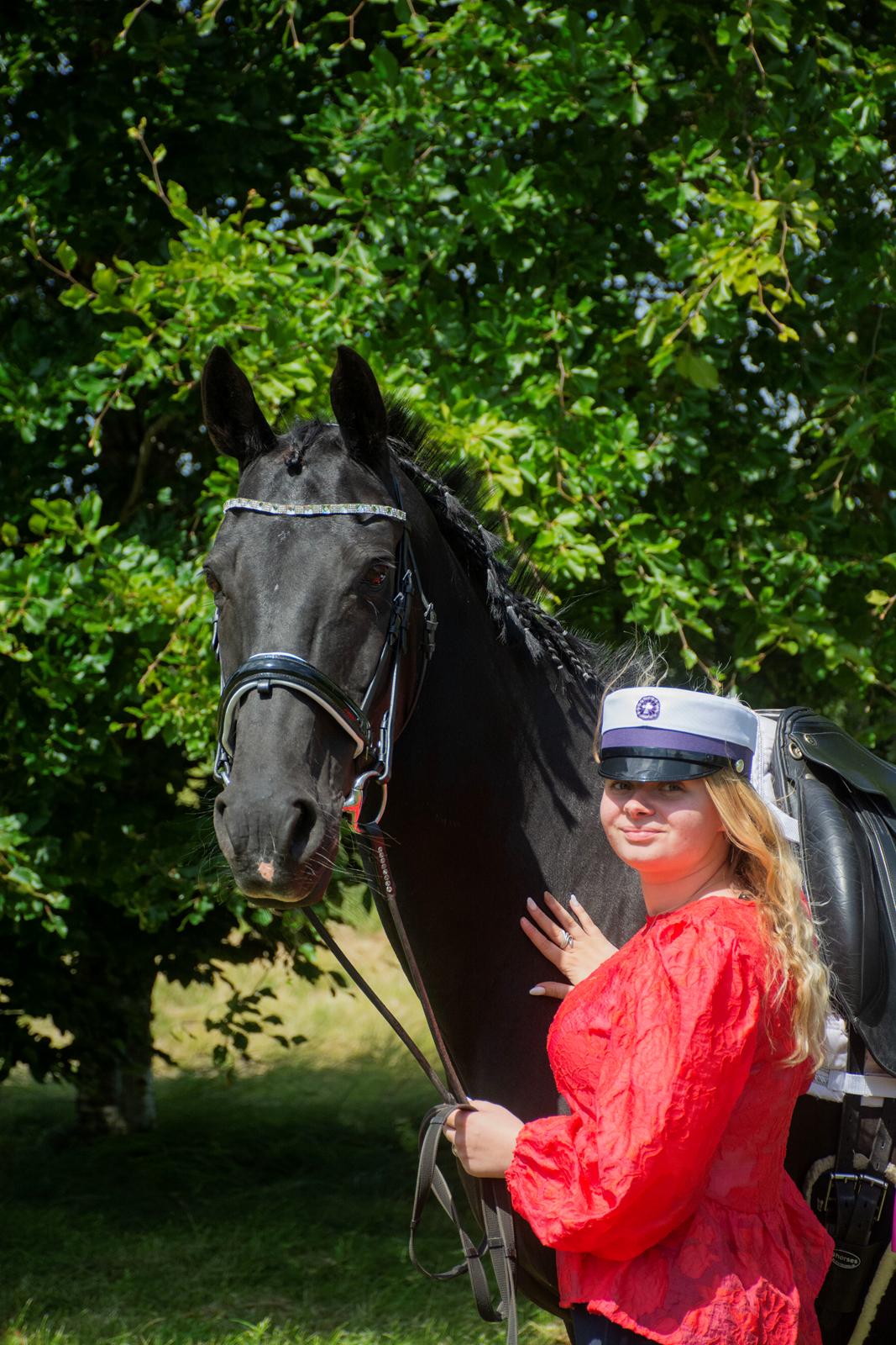 Dansk Varmblod Langagers Dooliwia billede 27