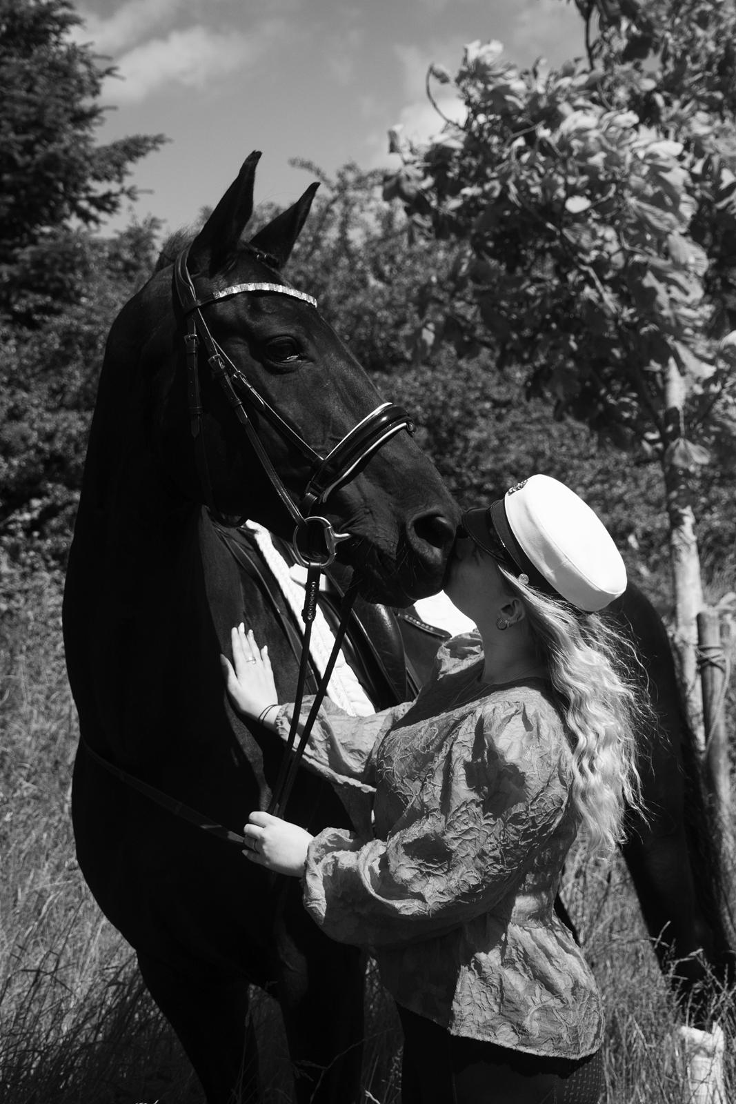 Dansk Varmblod Langagers Dooliwia billede 10