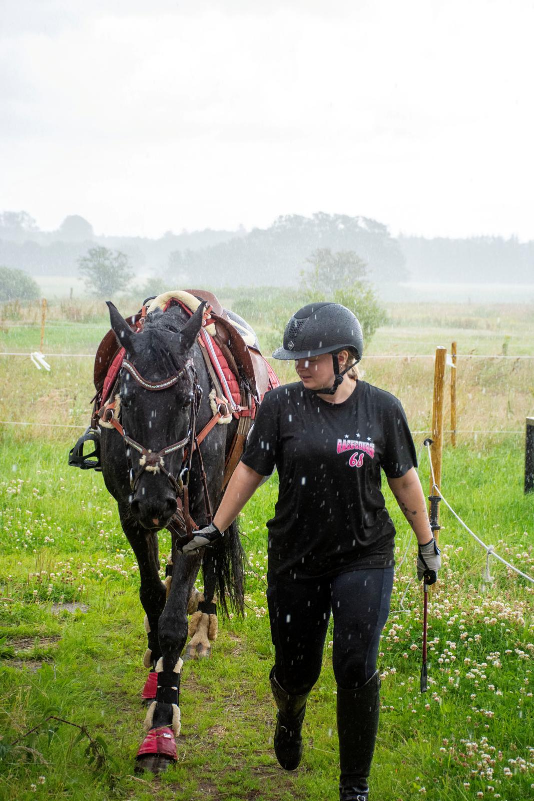 Dansk Varmblod Langagers Dooliwia billede 34