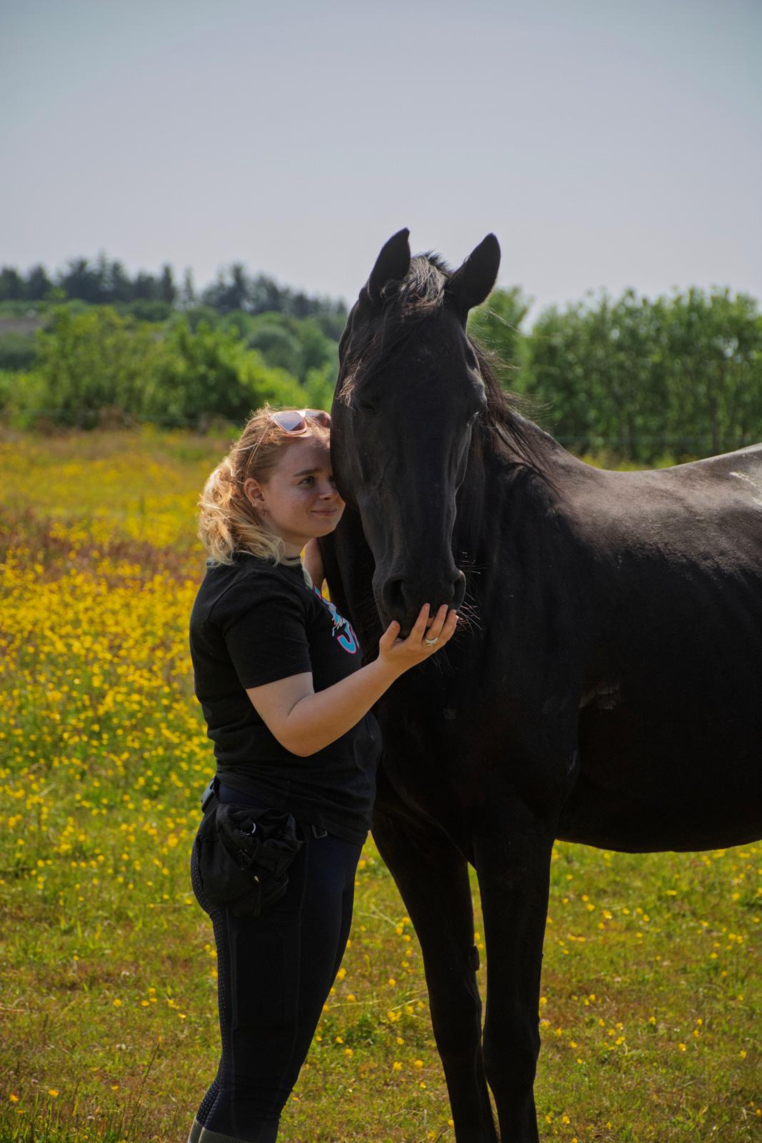 Dansk Varmblod Langagers Dooliwia billede 1