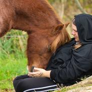 Anden særlig race Kofoeds Hidalgo O.C