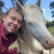 Welsh Partbred (Sec F) Tovdal’s Miss Ocean Pearl • Willow •