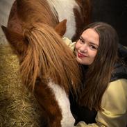 Anden særlig race Kofoeds Hidalgo O.C