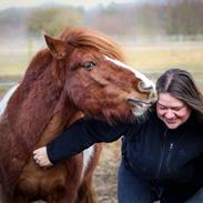 Anden særlig race Kofoeds Hidalgo O.C