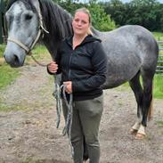 Oldenborg Horsebjerg Vetlanda