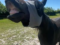 Anden særlig race Kleenex