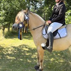 Anden særlig race SVEND