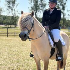 Anden særlig race SVEND