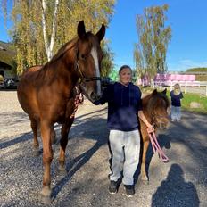 Frederiksborg Jucemi Bangholm