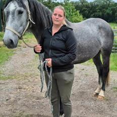 Oldenborg Horsebjerg Vetlanda
