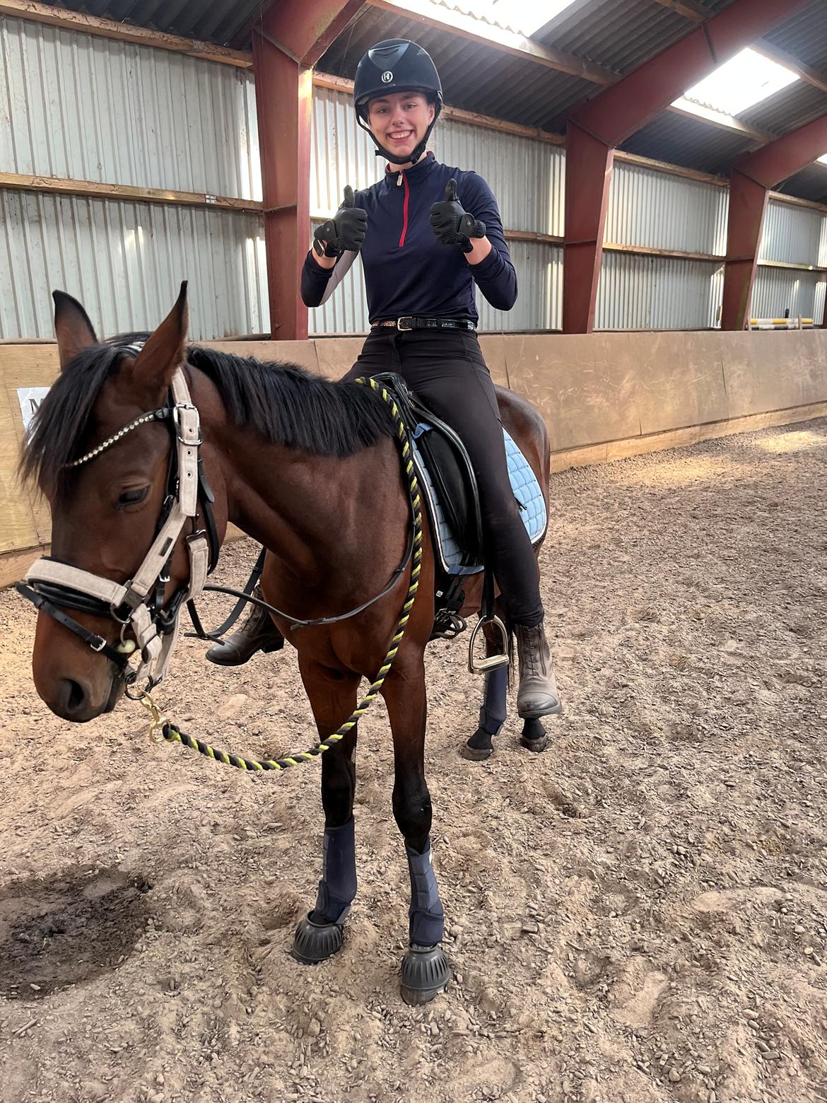 Zangersheide Nøragers Super size me - Første gang med rytter d. 21/8-25 billede 9