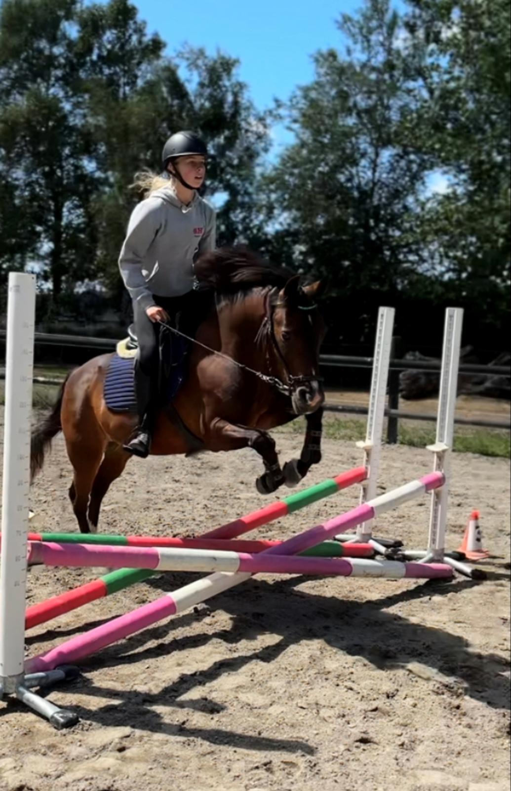 New Forest Athos billede 4